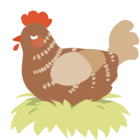 Kipje, a brown and beige chicken with a half-bar pattern