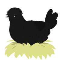 (unnamed), a sable and black chicken with a lace pattern