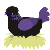 Violet Emo, a sable and overcast chicken with a neck-speckle pattern