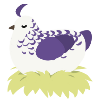 A white and overcast chicken with a half-lace pattern