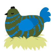 Marsh, a olive and sapphire chicken with a bar pattern