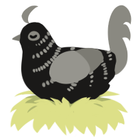 OOREOO, a sable and ash chicken with a half-bar pattern