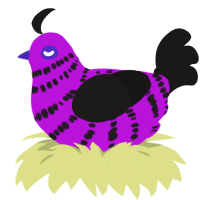 Scene of crime, a amethyst and sable chicken with a bar pattern