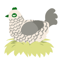 Pudding, a cream and ash chicken with a lace pattern