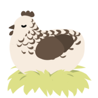 A cream and bark chicken with a half-lace pattern