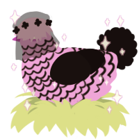 Scene queen, a lavender and black chicken with a lace pattern