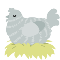 A silver chicken with a bar pattern