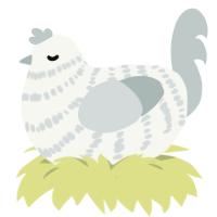 A white and silver chicken with a bar pattern