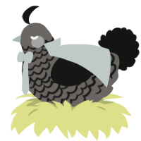 Polite Lil Gentleman, a grey and black chicken with a lace pattern