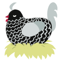 composition, a black and silver chicken with a lace pattern