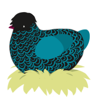 A sable and sea chicken with a double-lace pattern