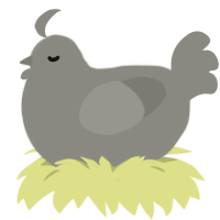 Its a rock, a ash chicken