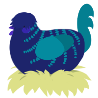 Wandercrab, a navy and sea chicken with a half-bar pattern