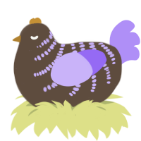 A bark and lilac chicken with a half-bar pattern