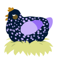 snowfield, a tumblr and lilac chicken with a speckle pattern