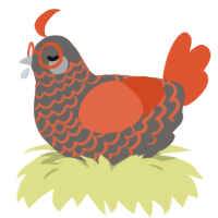 A grey and vermilion chicken with a lace pattern