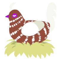 White Choco, a russet and white chicken with a bar pattern