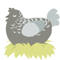 A ash and silver chicken with a half-lace pattern