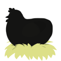 Its not a phase mom, a black chicken