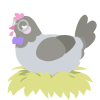 Duif, a mist and ash chicken with a head pattern