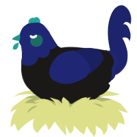 top secret project, a sable and navy chicken with a head pattern