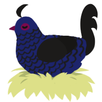 A navy and sable chicken with a lace pattern