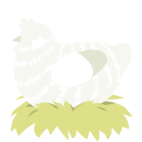 Shiro Muji, a white chicken with a bar pattern