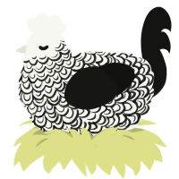 Polaris, a white and black chicken with a double-lace pattern