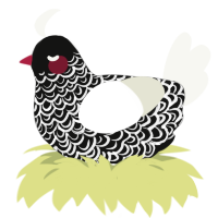 Pride and Prejudice, a black and white chicken with a double-lace pattern