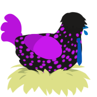 A sable and amethyst chicken with a speckle pattern
