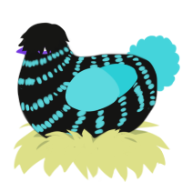 Void, a black and aqua chicken with a bar pattern