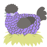 Granny, a lilac and grey chicken with a lace pattern