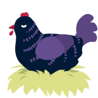 Scarf, a tumblr and overcast chicken with a half-bar pattern