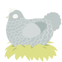 silverrrrrrrr-, a silver chicken with a lace pattern