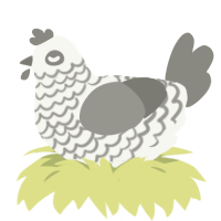 (unnamed), a white and ash chicken with a lace pattern