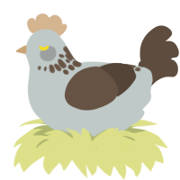 Tuya, a silver and bark chicken with a neck-speckle pattern