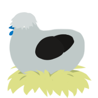 A silver and sable chicken