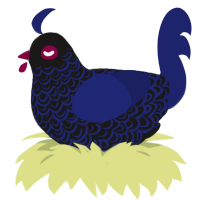 Shadow Boysenberry, a sable and navy chicken with a double-lace pattern