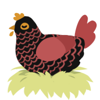 HIIIIII SHADOWWW, a black and red chicken with a lace pattern
