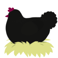 NightShade, a black chicken with a neck-speckle pattern