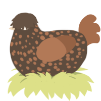 A bark and brown chicken with a speckle pattern