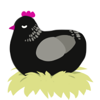 Lofi hip hop radio, a black and ash chicken with a neck-band pattern