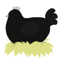 (unnamed), a black and sable chicken