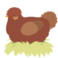 A russet and brown chicken