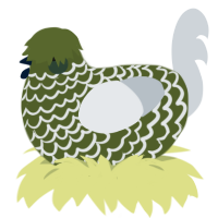 A olive and mist chicken with a lace pattern
