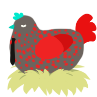 Mark Mosher, a grey and red chicken with a speckle pattern
