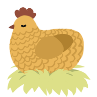 marauder, a honey and gold chicken with a lace pattern