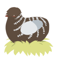 daybreak outburst, a bark and mist chicken with a half-bar pattern