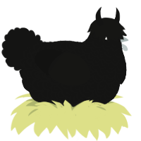 when I was, a black chicken with a double-lace pattern
