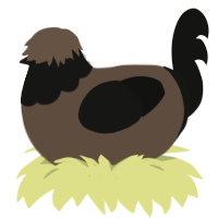 Hawkeye Pierce, a bark and black chicken with a head pattern